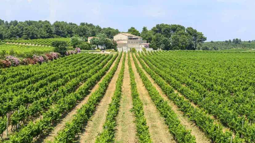 Fontanars dels Alforins Fontanars dels Alforins