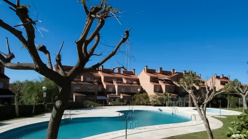 Mas Camarena Mas Camarena